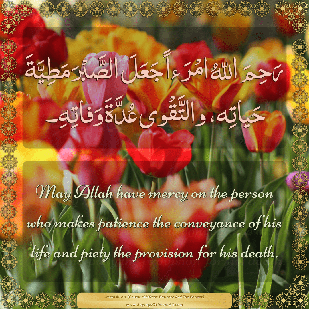 May Allah have mercy on the person who makes patience the conveyance of...